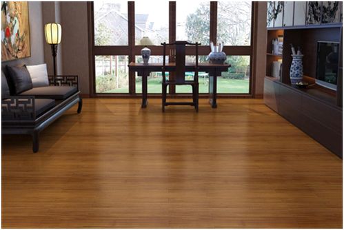 圆盘豆 逆境中的勇士，扬子地板上的生命赞歌